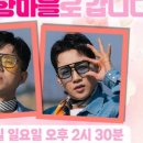 편백로-1 네이버블로그