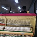 진해신항중학교 이미지