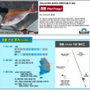 ■남해안 참돔 지깅(타이라바)■시즌돌입 이미지