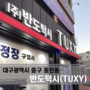 반도턱시