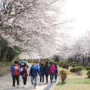 와동배드민턴장 이미지