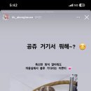 우쭈쭈 내강아지 이미지