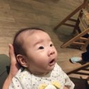 신길프라자약국 이미지