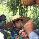 개화초등학교 이미지