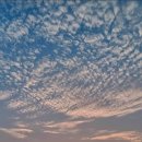 단23(Dan23) 이미지