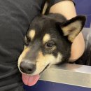 올리스24 두류공원점 이미지