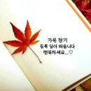 엄지발가락의 소중함ㅡ 뇌를 강하게하는 비결은 엄지발가락에 있습니다ㅡ뇌출혈로 쓰러져도 엄지발가락을ㅡ 열심히 만져주면 회복이 됩니다ㅡ친구에게도 공유하 이미지