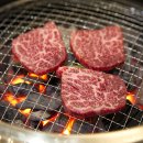 강남-021 티스토리