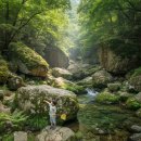 베스트매점 - 순천시 충효로 15 | 아이와 함께 시원한 여름을 보내는 성공적인 경남 계곡 베스트 3 후기