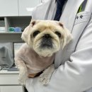 온정동물병원 이미지