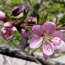 길당구장 이미지