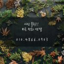246 | 서창동 커튼 블라인드 ● 서창 꿈에그린 우드블라인드 시공후기 ~♡