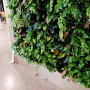 오늘도 해맑개 이미지