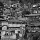 화복 행정사 사무소 이미지