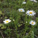 정부대전청사 이미지