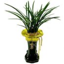 유 농원 이미지