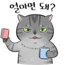 산울림악기 이미지