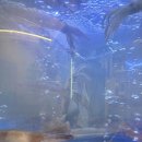 속초자연횟집 이미지