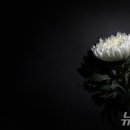 서울삼육오의원 이미지