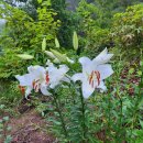 성의농장 이미지