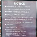 7125 | 북촌 안국맛집 옥수수피자 로우파이브 안국점 솔직후기, 주차정보