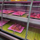 튼튼장어 무한리필 일광점 | 김해조개구이맛집 추천 고기 장어 조개 무한리필 가성비 좋은 황금조개 튼튼장어