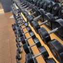 컨피던스휘트니스 이미지