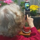 순희의정원 이미지