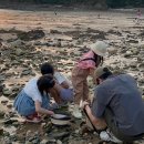 태안 꾸지나무골 해변 캠핑장 가족캠핑 추천 후기｜바다 앞 감성사이트 A3 사용기