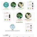 마이몽몽 이미지