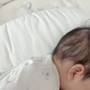 수동 | 휴대용 유축기 추천 하카 수동유축기 후기