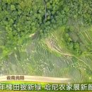 녹수청산 이미지