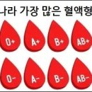 우리나라에서 가장 많은 혈액형 순위 이미지