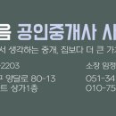 솔내음공인중개사사무소 이미지