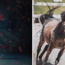 선산대로12-12 이미지