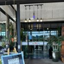 참불쭈(참살이불쭈꾸미) 이미지