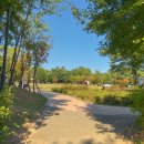 몽마르뜨공원 이미지