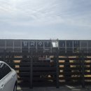 (주)메트로아이.디 | 대부도 맛집 디비비칼국수｜조개가득 모임하기 좋은곳 솔직후기