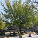 초록마을전주