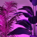 로종디자인 - 하남시 미사대로 550 | 로종디자인