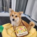 워니시티 이미지