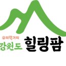 칠전농장 이미지