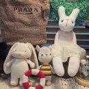 창5동 주민센터 이미지