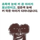 아이프레스 이미지