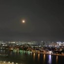 센트럴파크 4 이미지