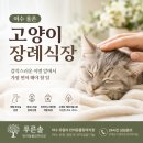하늘꽃;조경;장례업체 | 여수 고양이 장례, 고양이 화장선택 전, 합법 지역 업체 소개 ✨