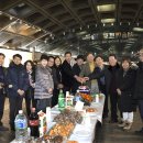 온세미로 이미지