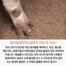 모래틈농장 이미지