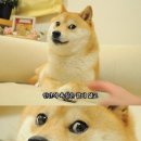 뉴아모르 산후조리원 이미지