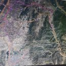 평화백제약국 이미지